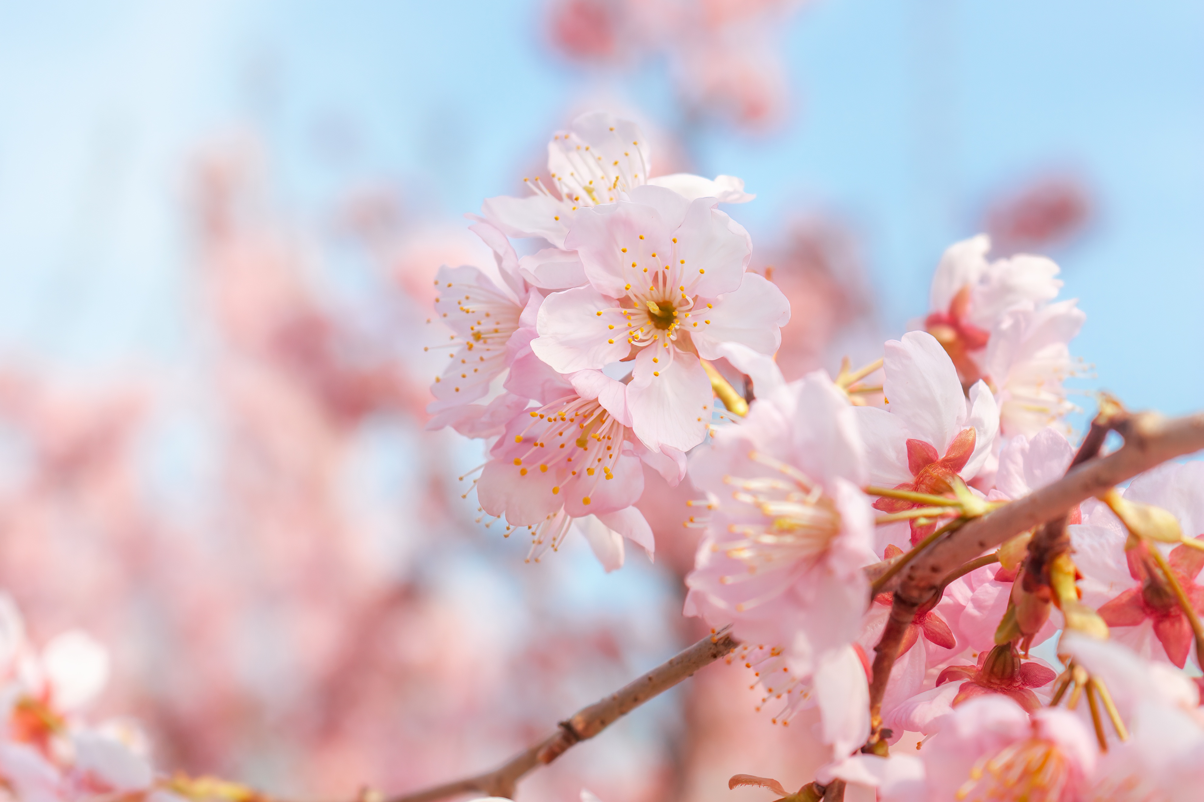 服装秋冬上新文案怎么写吸引人,服装春季新品上新文案