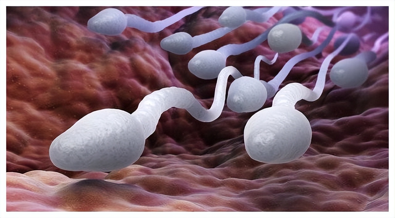 捐人体器官有什么好处吗,捐人体器官有什么不对吗