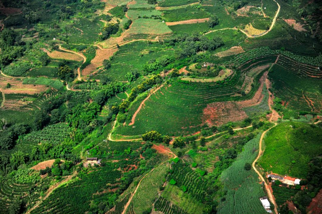 有一种生活叫做云南的生活,有一种叫云南的生活原文