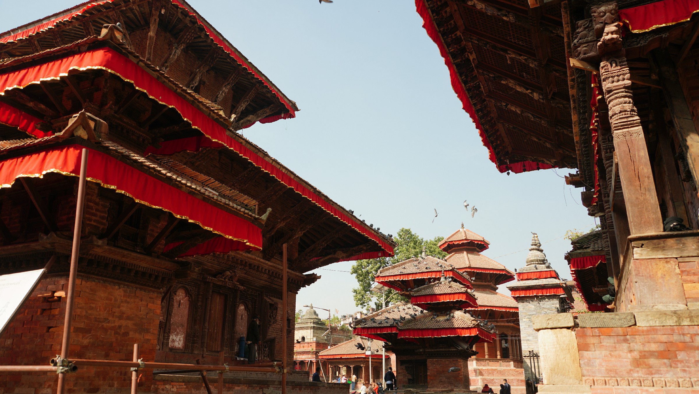 云中鹤游学,云中鹤户外