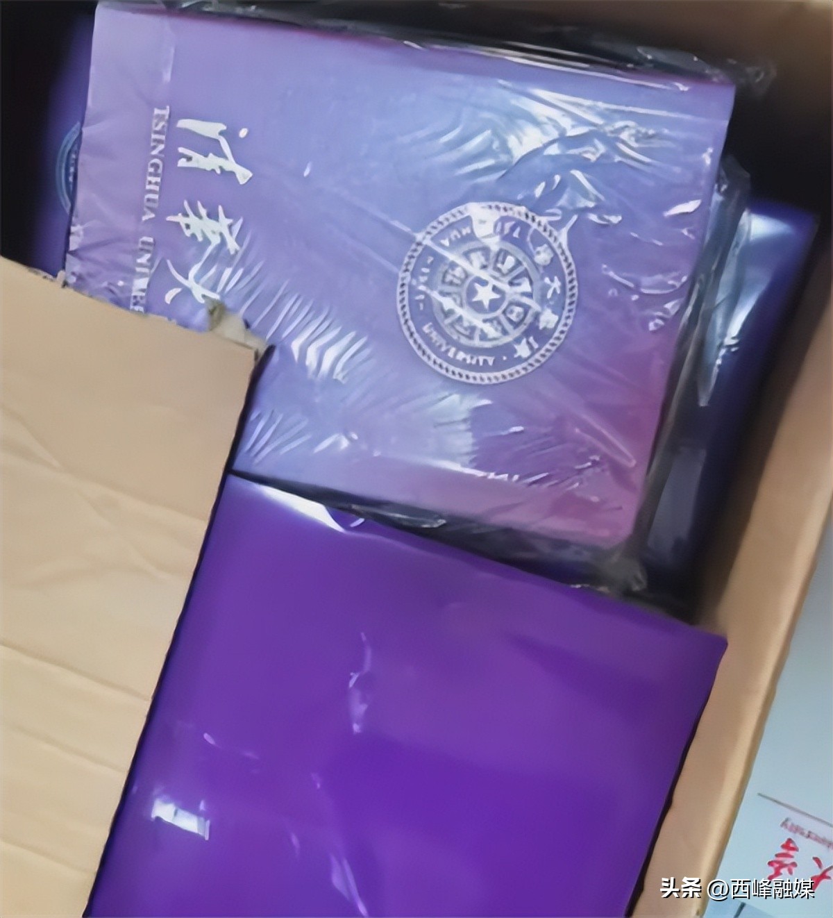 男子冒充清华大学生被揭穿,男子冒充清华学生变网红后续