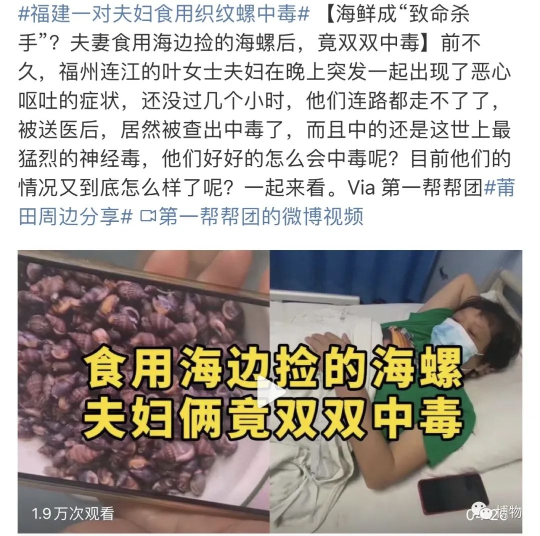 吃螺有粘液可以直接吃吗,吃了螺不能吃什么