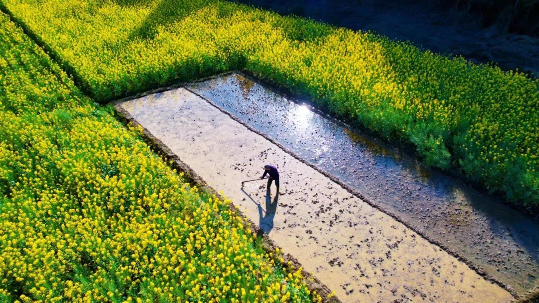 成都市区现实版桃花源记在哪里,成都公交可达的古镇