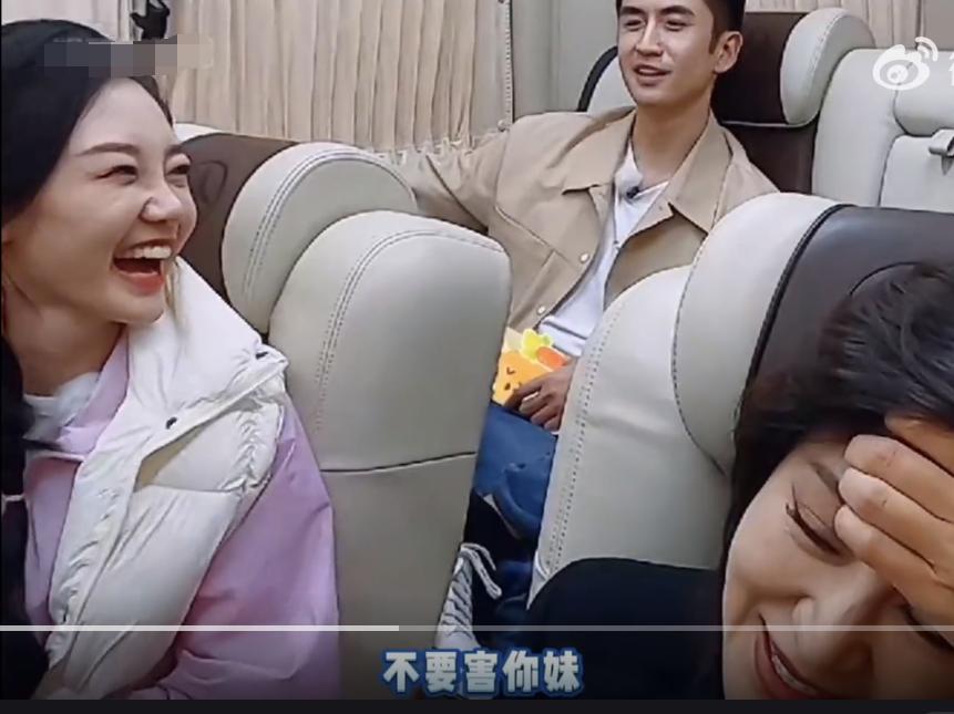 郑钧评价苗苗扮猪吃老虎,苗苗评价郑钧刘芸