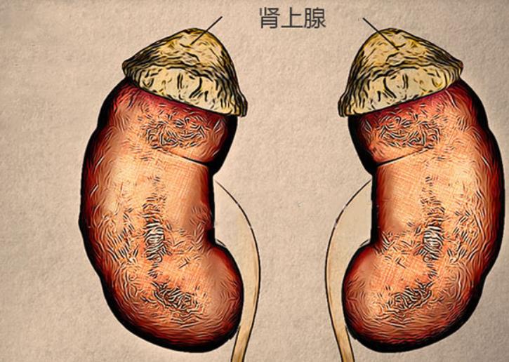 下午5点就感觉饿手抖心慌咋回事,糖尿病人一饿就心慌浑身无力手抖
