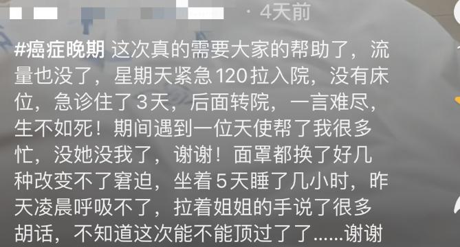 网红兔子死了,网红兔不幸身亡