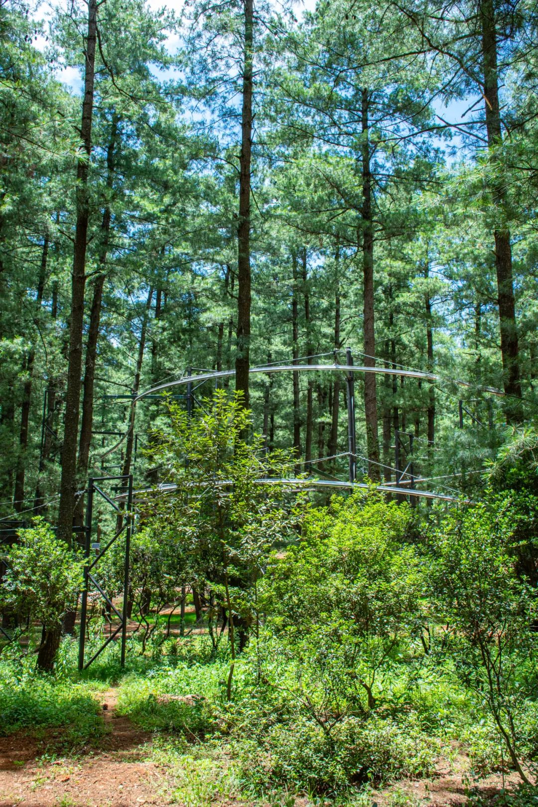 昆明松鹿原始部落,松鹿部落免费的景点