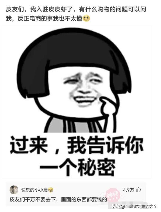 神回复不按套路出牌,神回复答出的都是高手