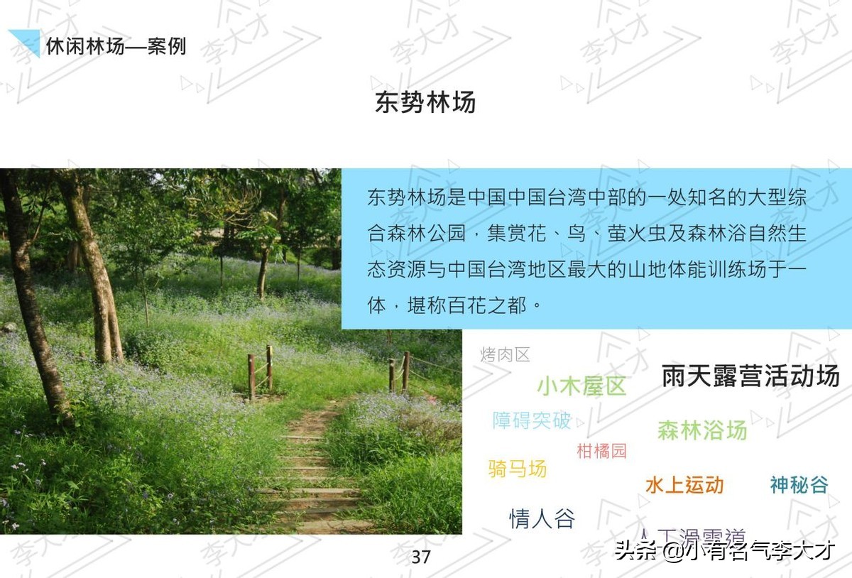 台湾乡村振兴战略案例,中国乡村振兴实施的成功案例