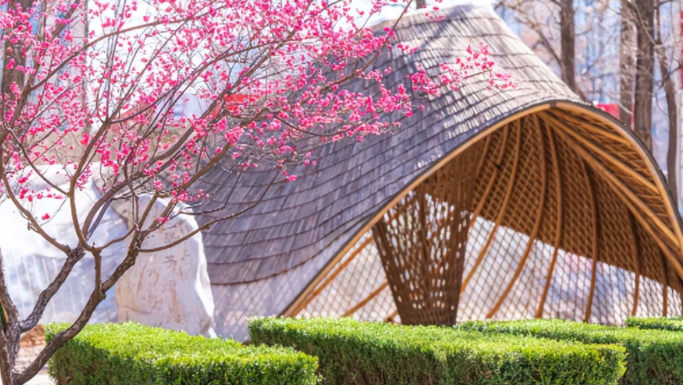 新华网聚焦！北京名校招生办主任“提醒”考生：志愿填报牢记这6点！