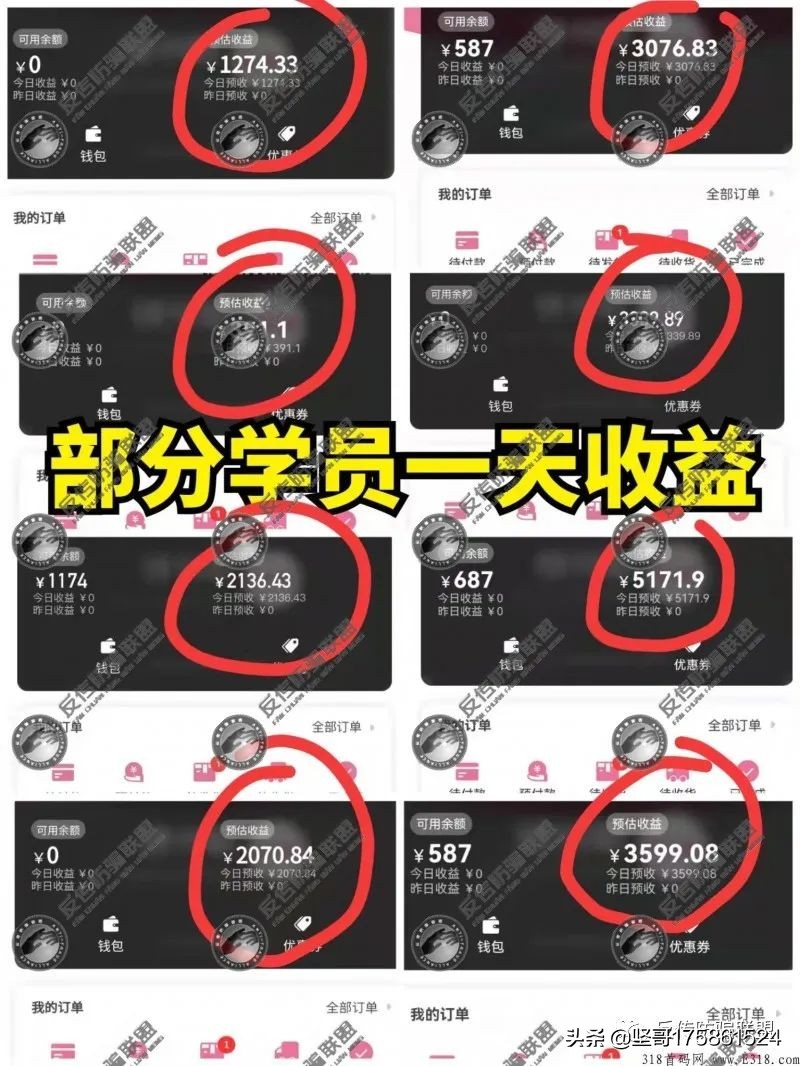 苏州绿叶为什么关闭了公司,苏州绿叶公司合法吗