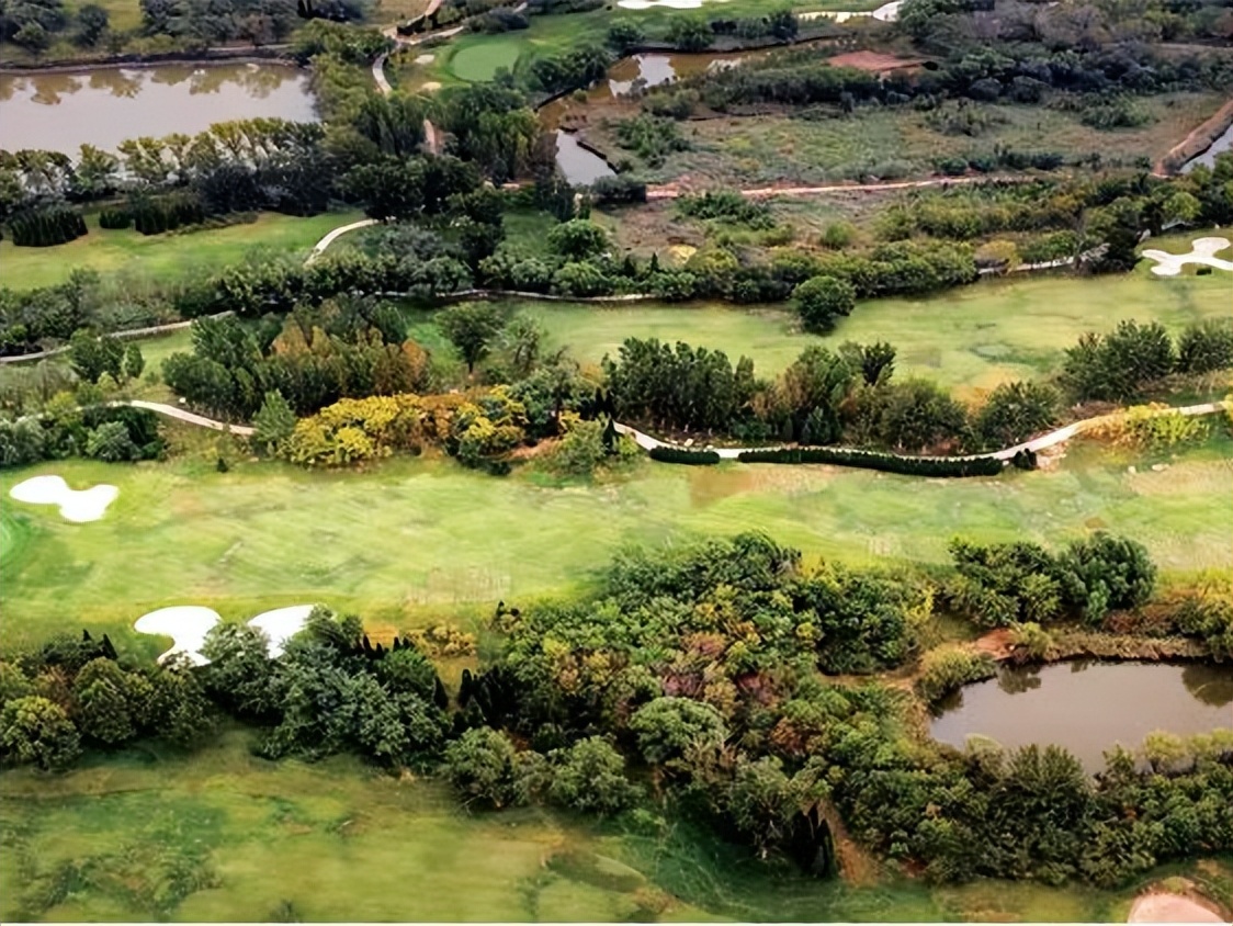 在东营五一假期应该去哪玩,东营人五一旅游攻略自由行