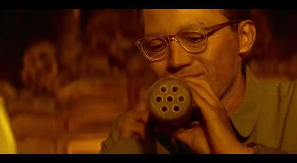 养猫养狗都养不活,养狗养猫养蜘蛛