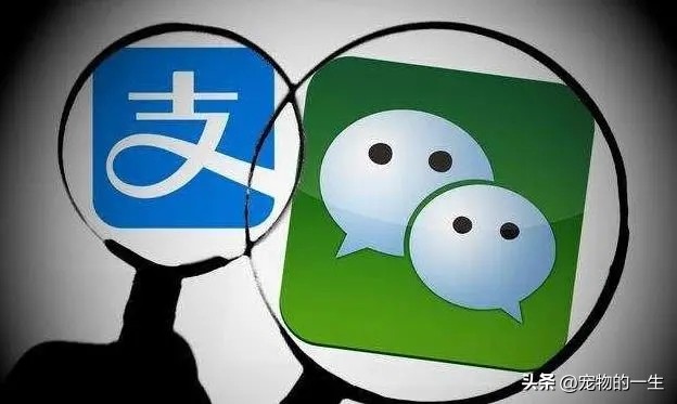 多所高校将停用微信支付新闻,手续费多所高校宣布停用微信支付