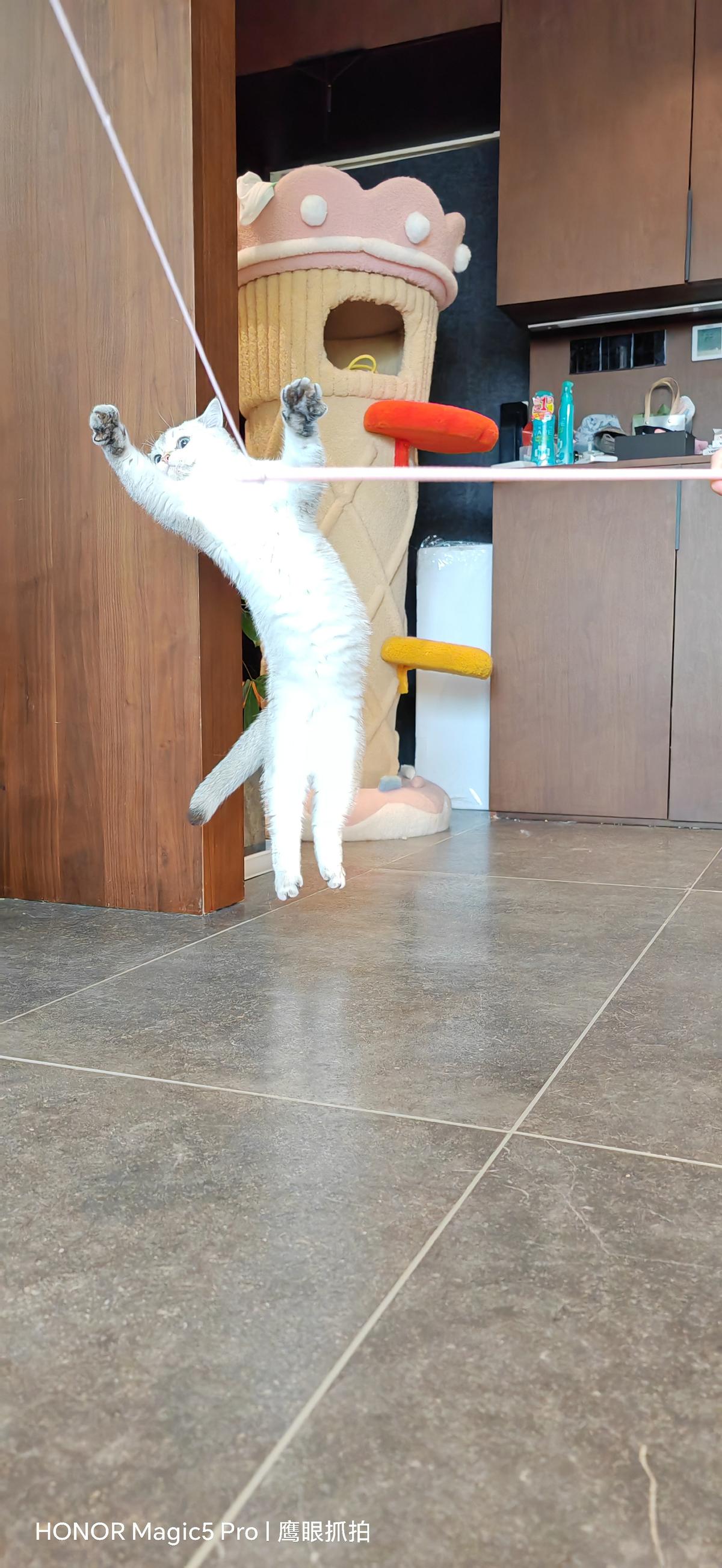 玩机报告荣耀magic5,华为手机荣耀magic5手机评测