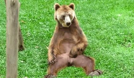 夏季常见蚊虫叮咬图鉴,女孩被家人吸血10年