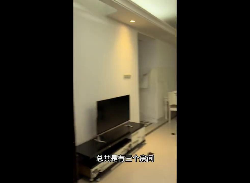 广州富力桃园两房一厅多少钱,富力桃园南北通透户型