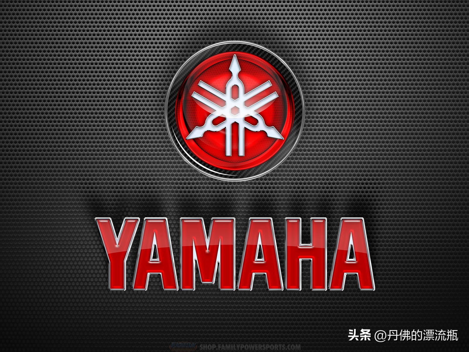 日系4大品牌对比,日系四大功放