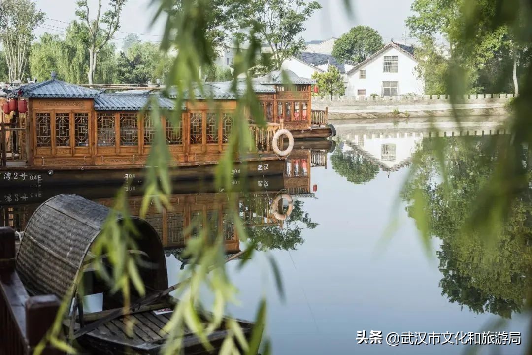 花朝河湾旅游景区本地人要门票吗,潘塘罗杨村花朝河湾景区最新消息