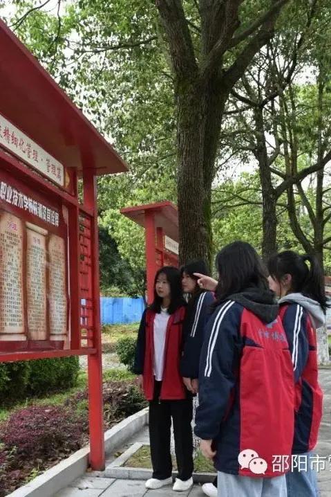 博雅职业学校好吗,博雅学校值得去吗