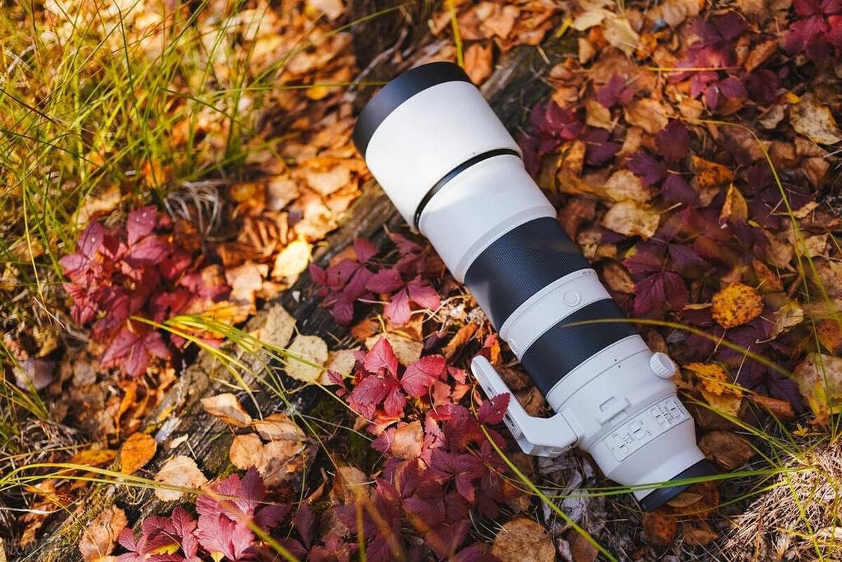 什么是长焦拍摄,新手学摄影需要长焦镜头吗