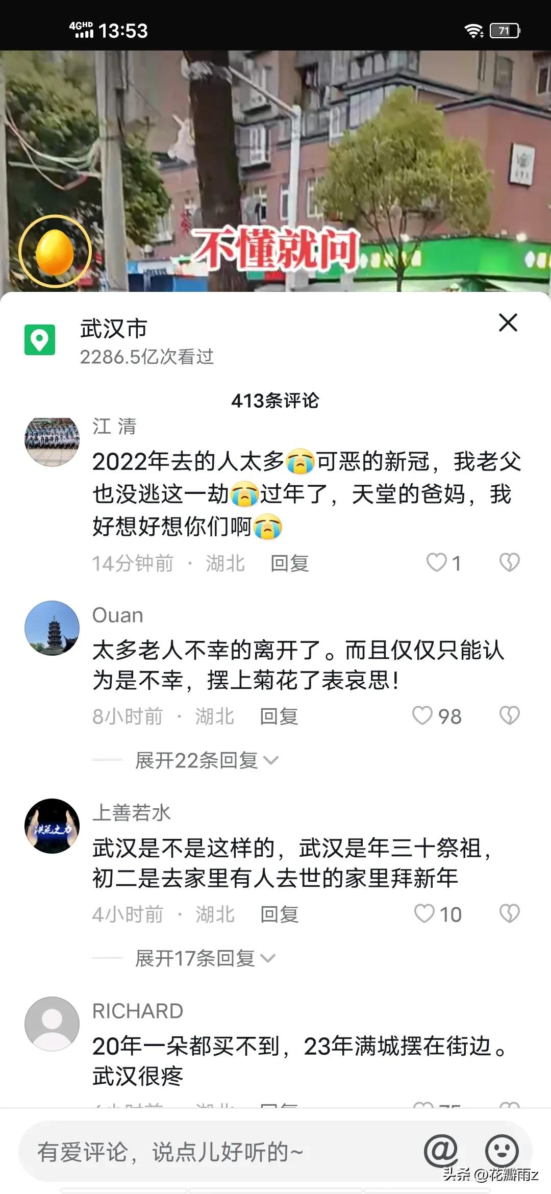 满城尽是菊花殇！大年三十武汉街头摆满菊花