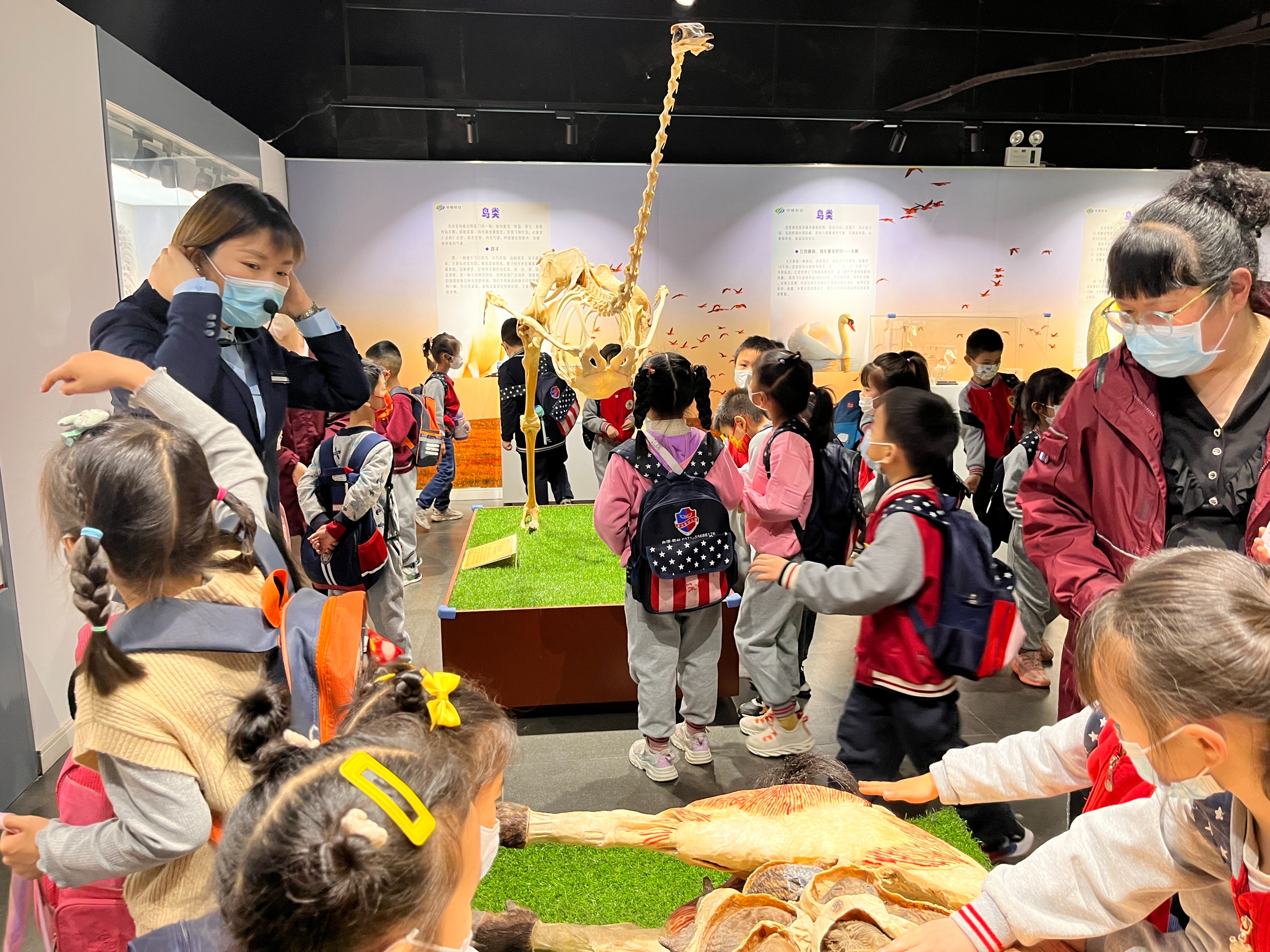 郑州赏花游玩推荐景点,郑州踏青旅游攻略