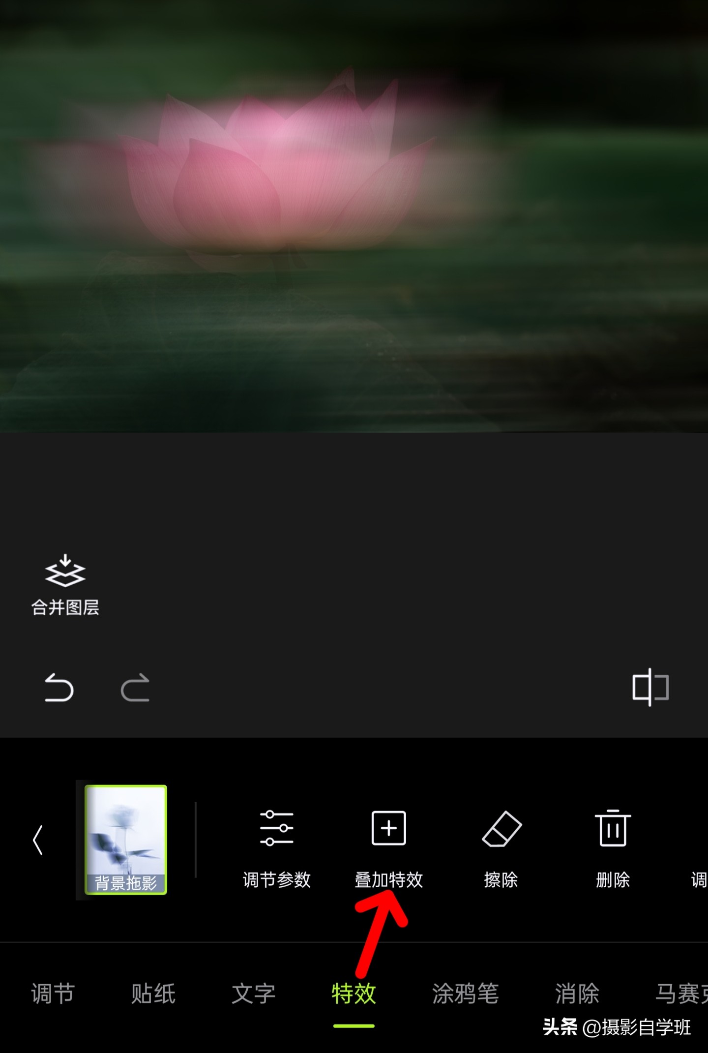 如何拍摄荷花多重曝光相片,如何拍好荷花逆光照片