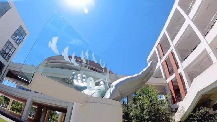 冲破国外技术*锁封**、创下多个“第一”！2022年，华理发出“最耀眼”的一束光！