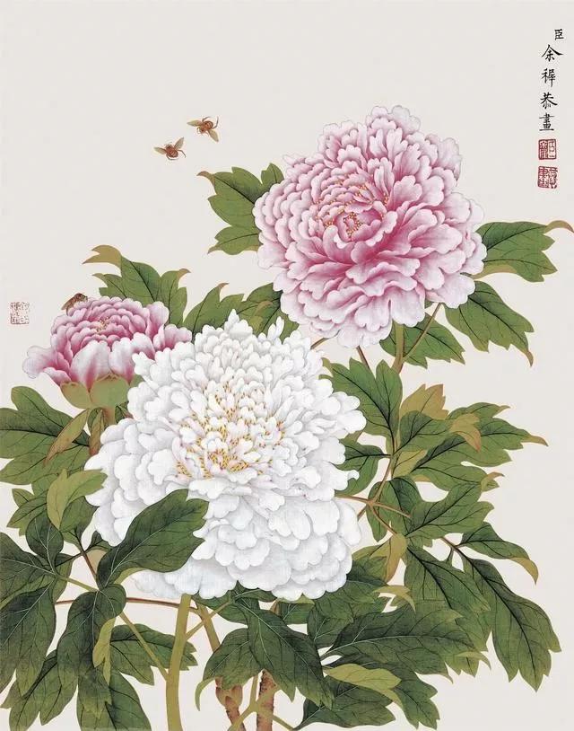 清代九大名家花鸟册页欣赏,清朝九大名家花鸟山水图