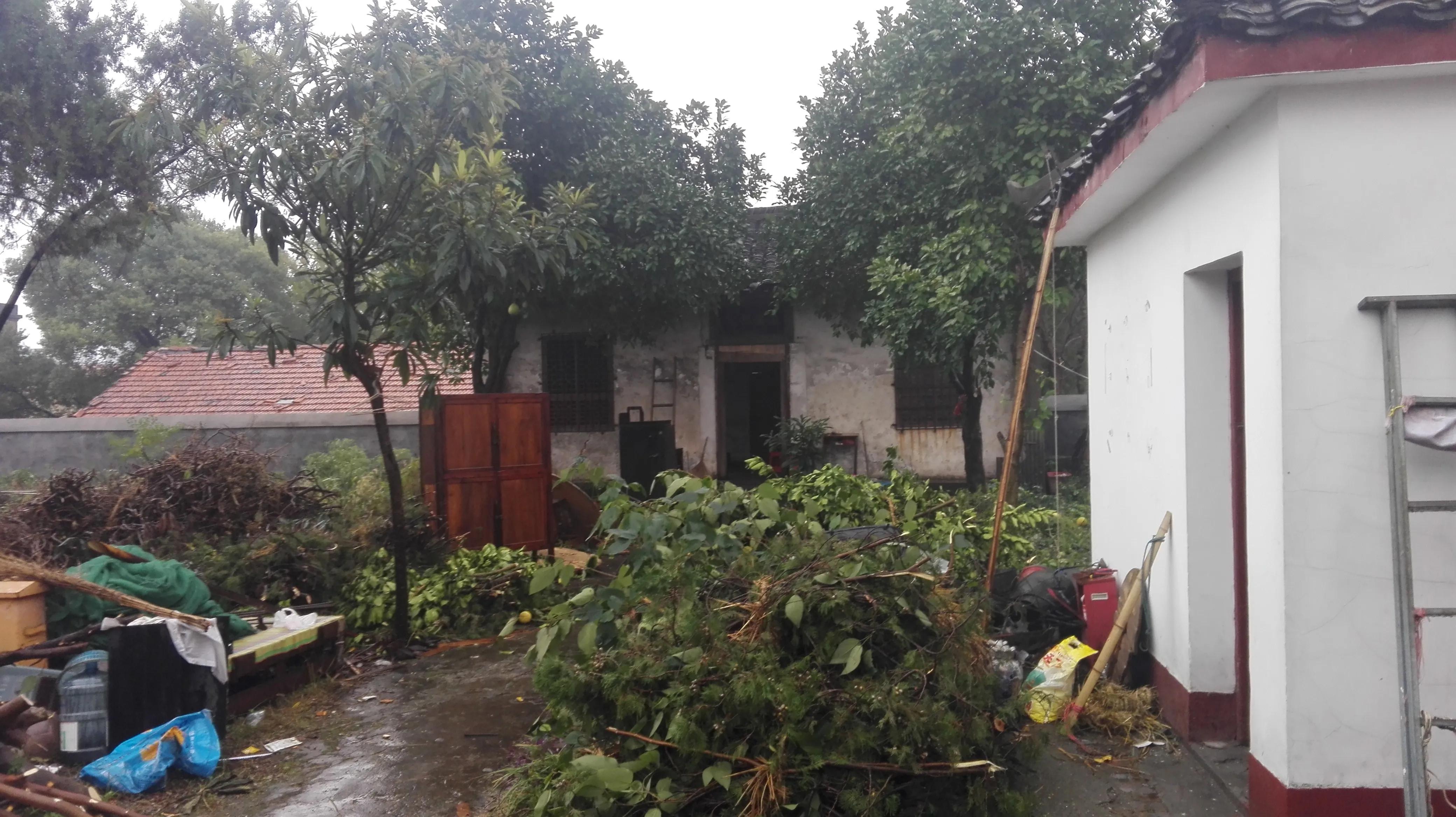 烟雨岳阳楼|一个人的三山五岳行1