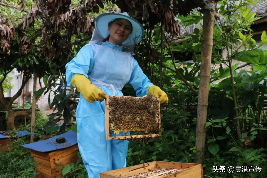 贵港近期有啥展销会,贵港农产品博览会