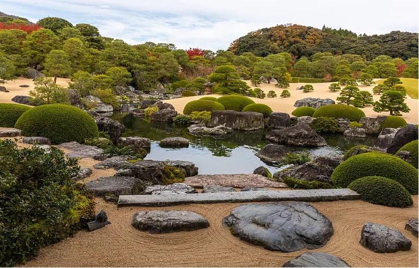 那些被我们忽略的风景,球球景观