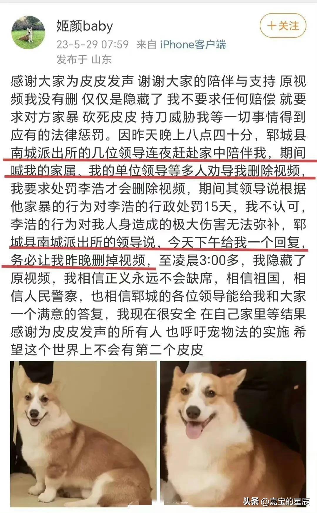 山东菏泽女子爆丈夫家暴柯基狗被当面砍死视频,家属领导要求撤销