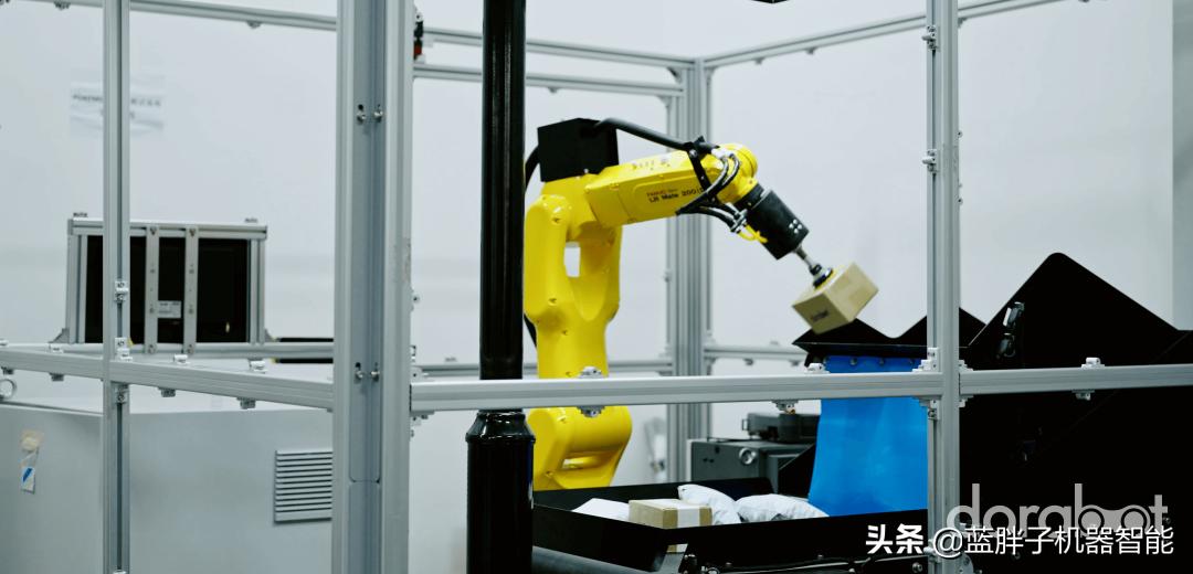 蓝胖子出现比赛现场,蓝胖子机器人dora