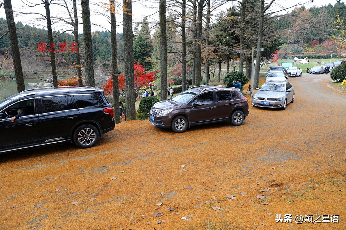 宁波四明山秋色,宁波仰天湖大草原