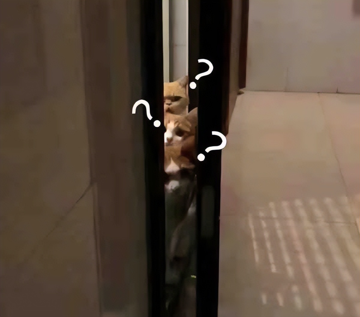 会计实操报班有用吗,考了初级会计实操班有必要去学吗