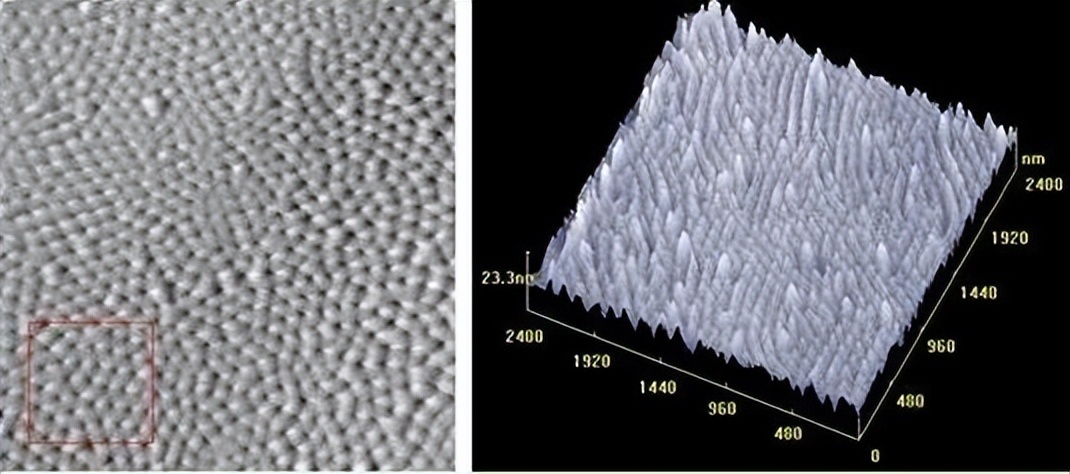 从基础科学看科技创新|老和山下的小学僧