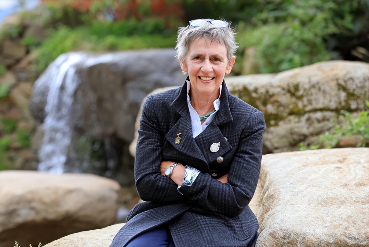 切尔西花展最佳花园,切尔西花展金奖设计