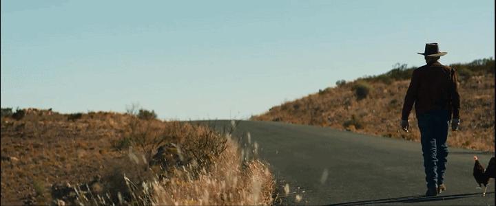 好莱坞惊艳的导演,好莱坞著名导演