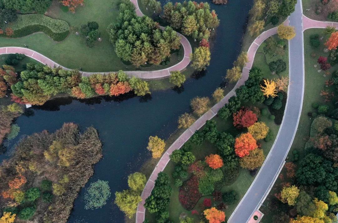 极美南京晚霞,极美南京幸福金陵