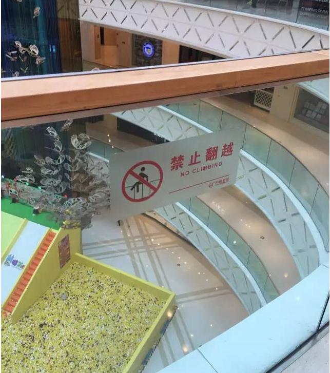 上海科技馆坠楼事件后续报道,上海科技馆母女坠楼事件处理结果