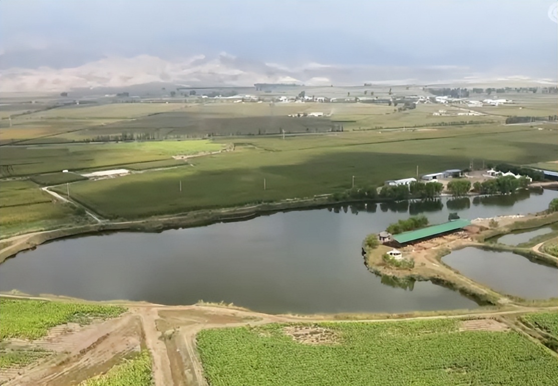 返乡创业养鱼一年要卖五十万,男子回乡养鱼创业年销售额上千万