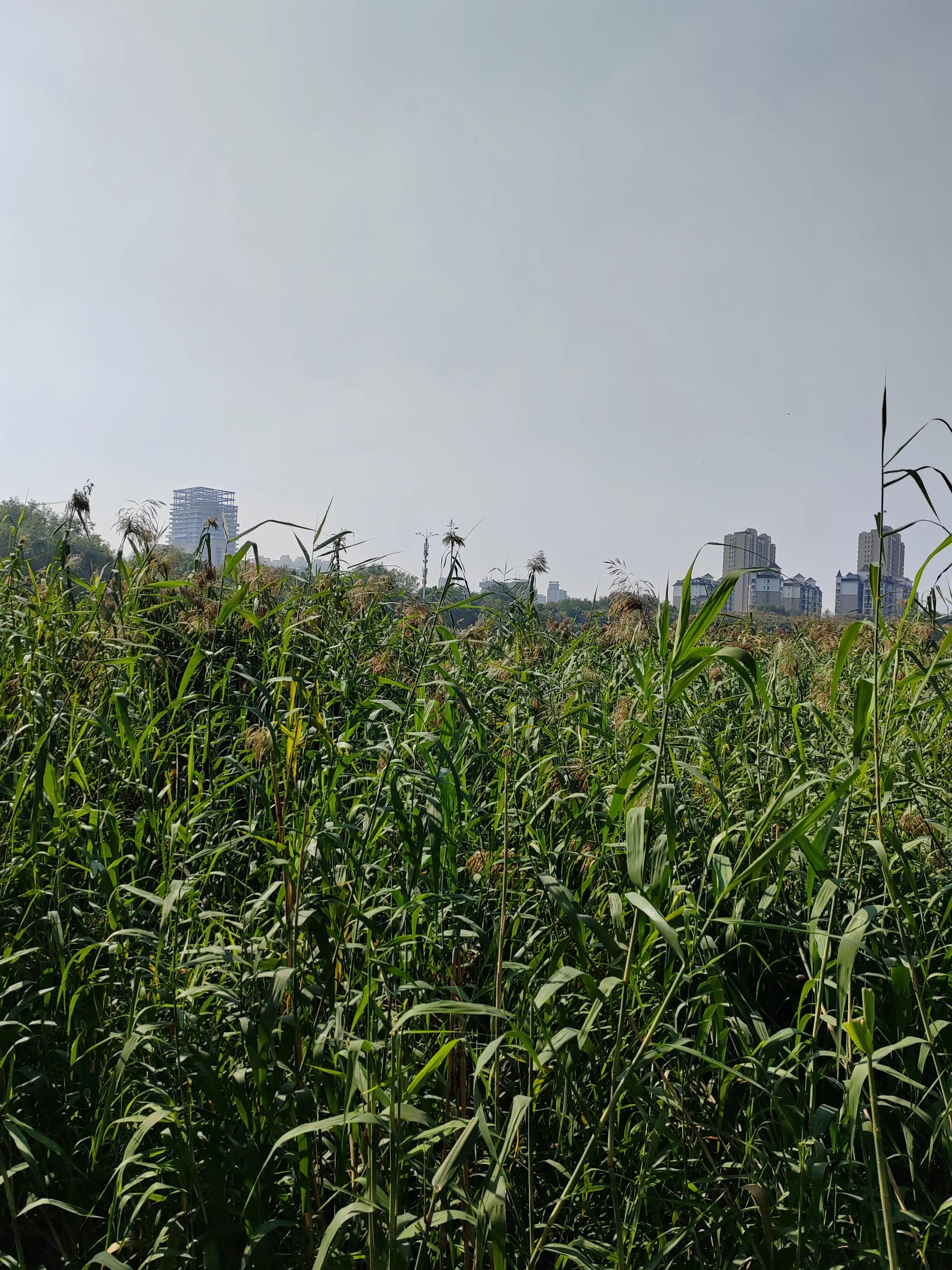 中国历史上第一部军事理论,举世公认的军事理论奠基人