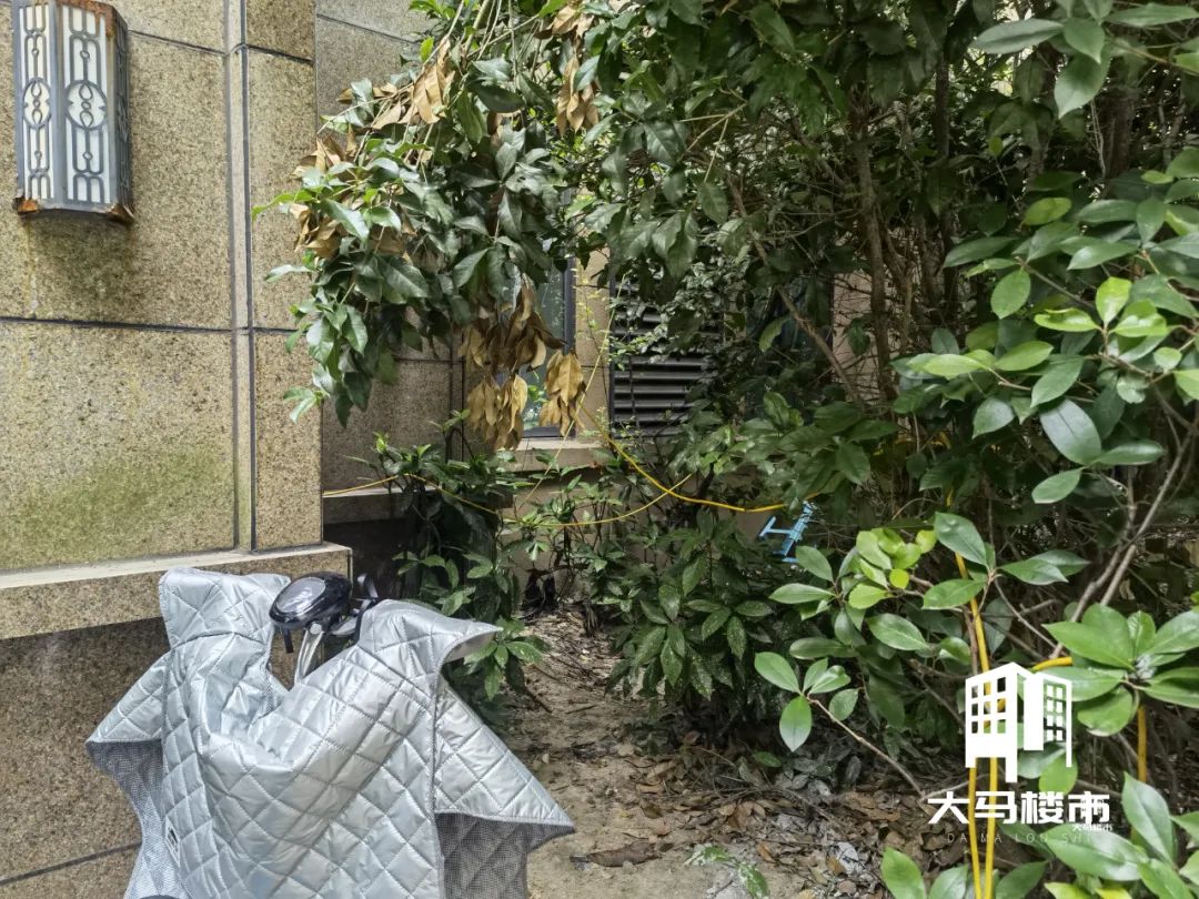 新物业进场公告,新物业公司进场