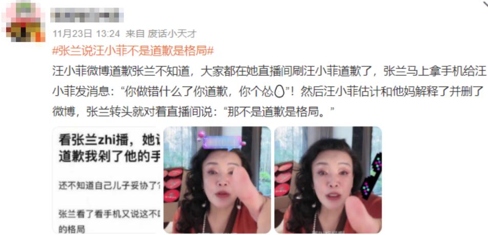 强势的母亲懦弱的父亲家庭的悲剧,缺失的父爱暴躁的母亲失控的孩子