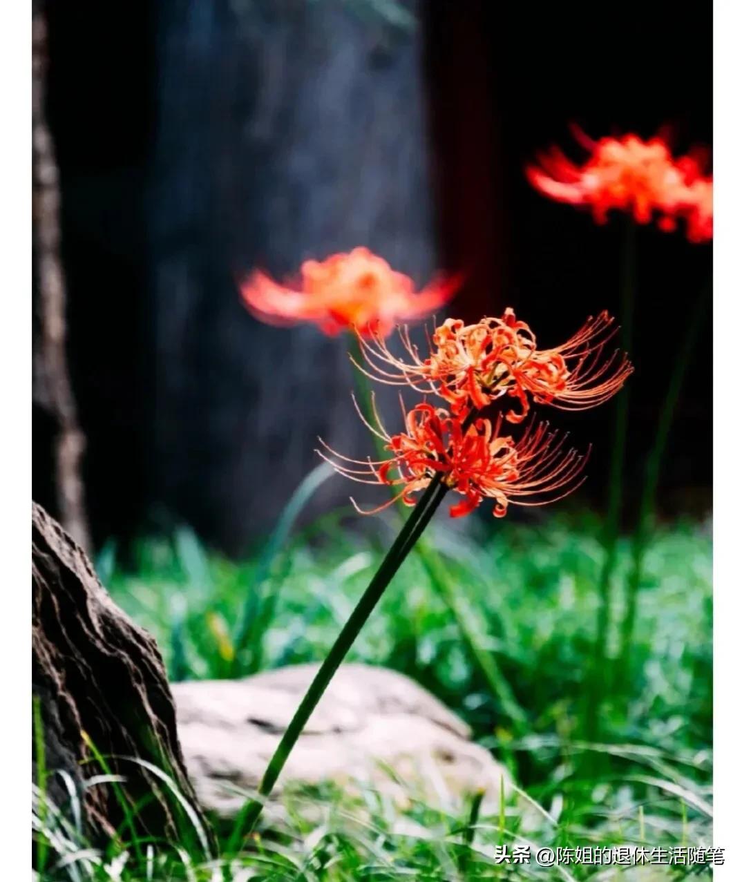 我50多岁退休后,选择打工挣钱,10号收到了第一笔工资,百感交集