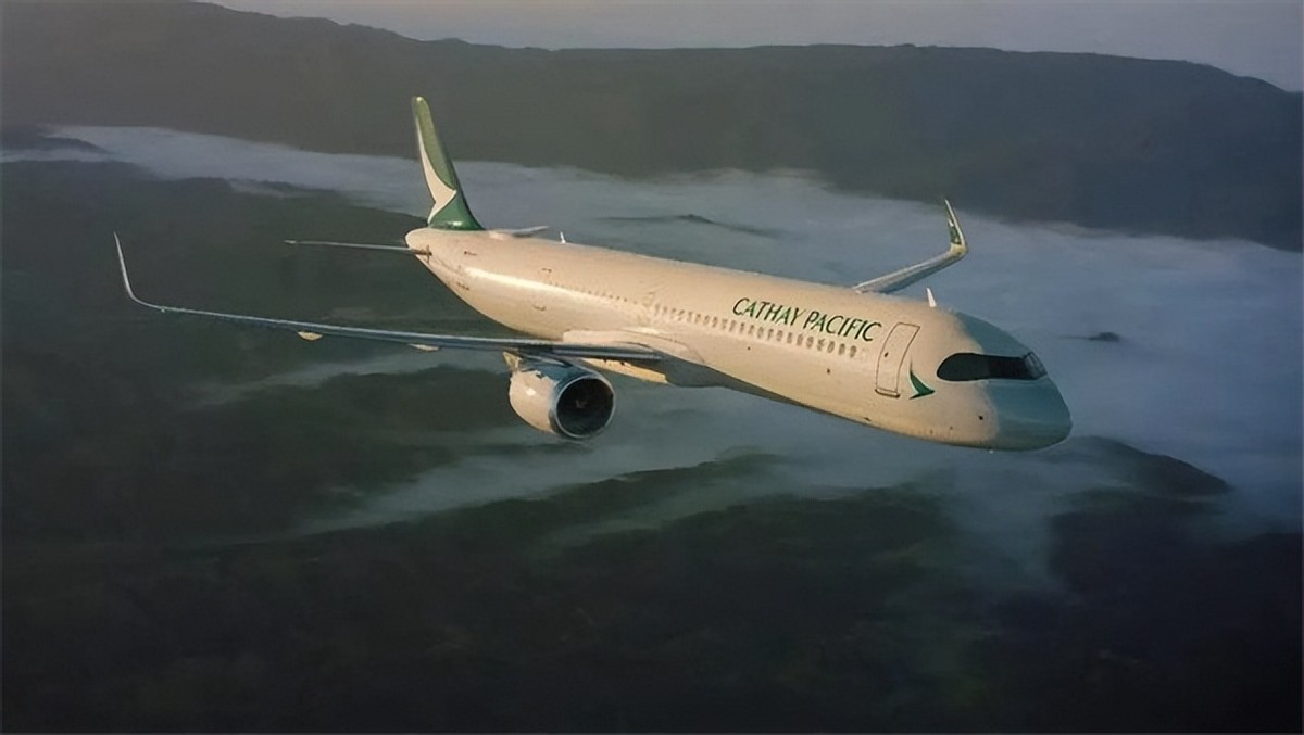 国泰航空：支持“港独”、“*独台**”的公司，后自食苦果裁员数千人