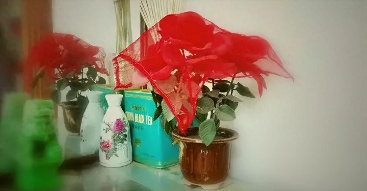 十大至今未破的大案,震惊全国的十大案件排名