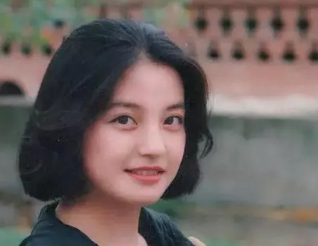 赵薇叛国罪,赵薇涉黑涉恶